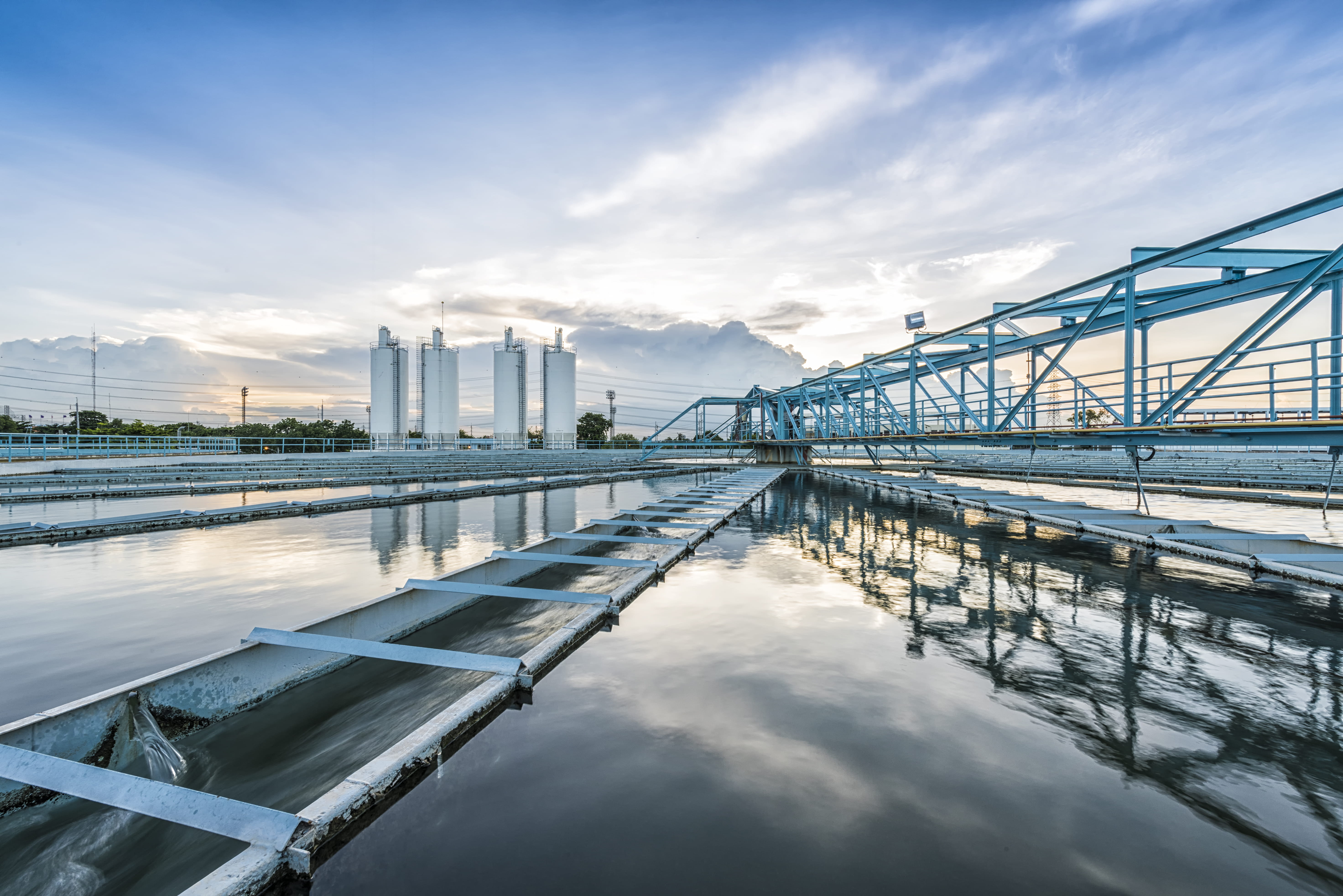 Waste Treatment and Disposal Technologies for Fish Products Industry