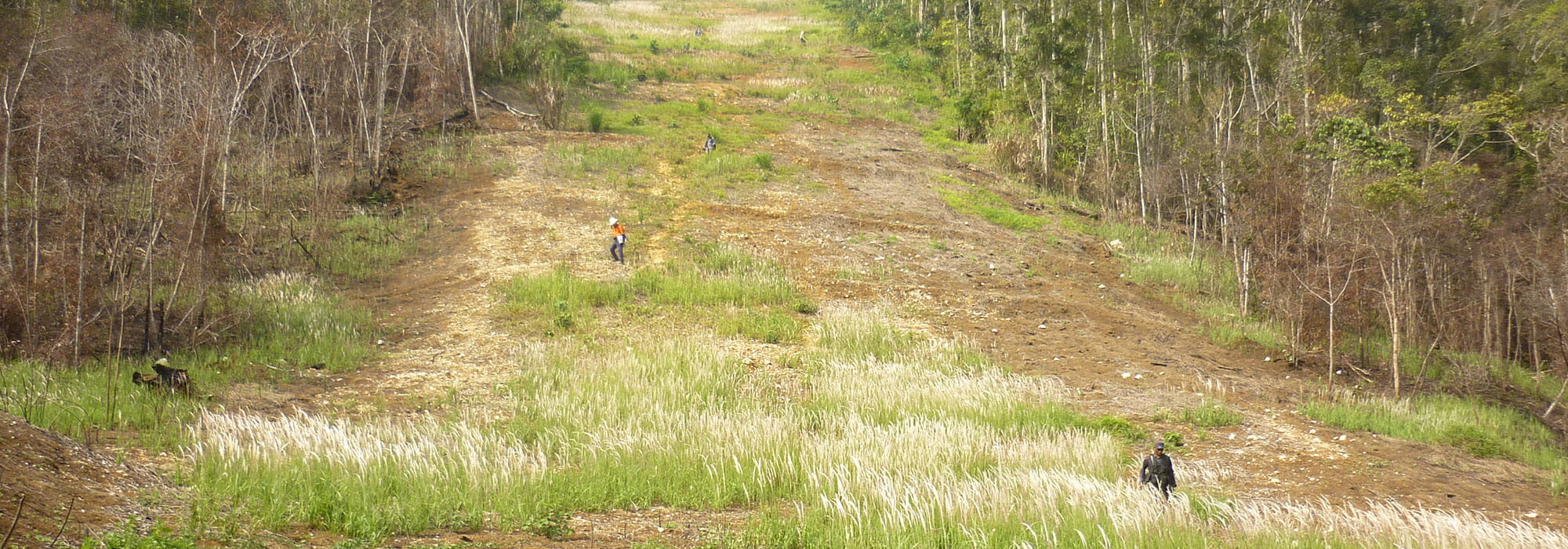 Grassy hill