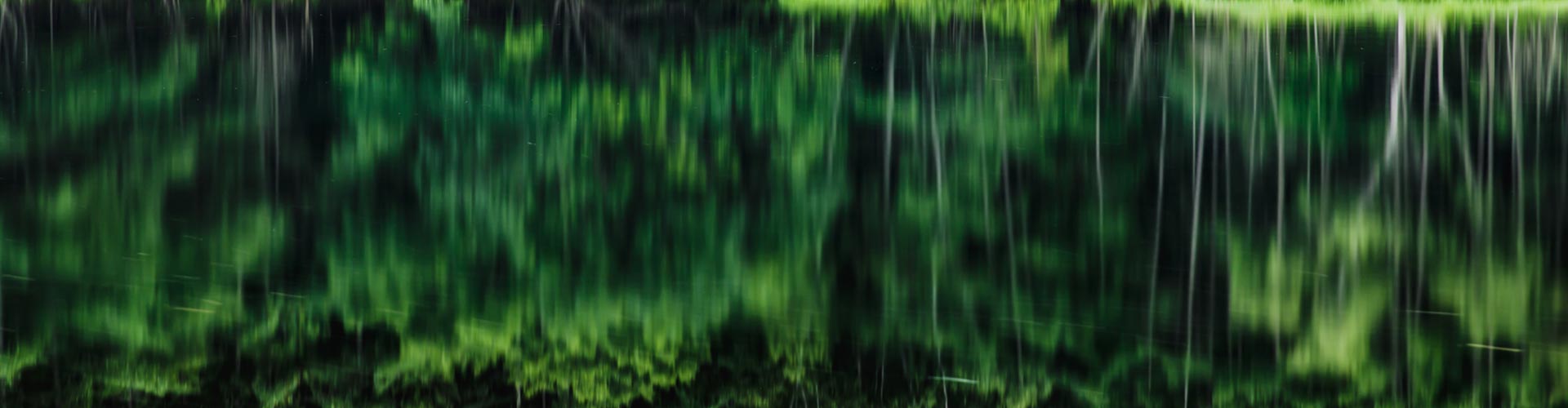 Reflection of trees on water.