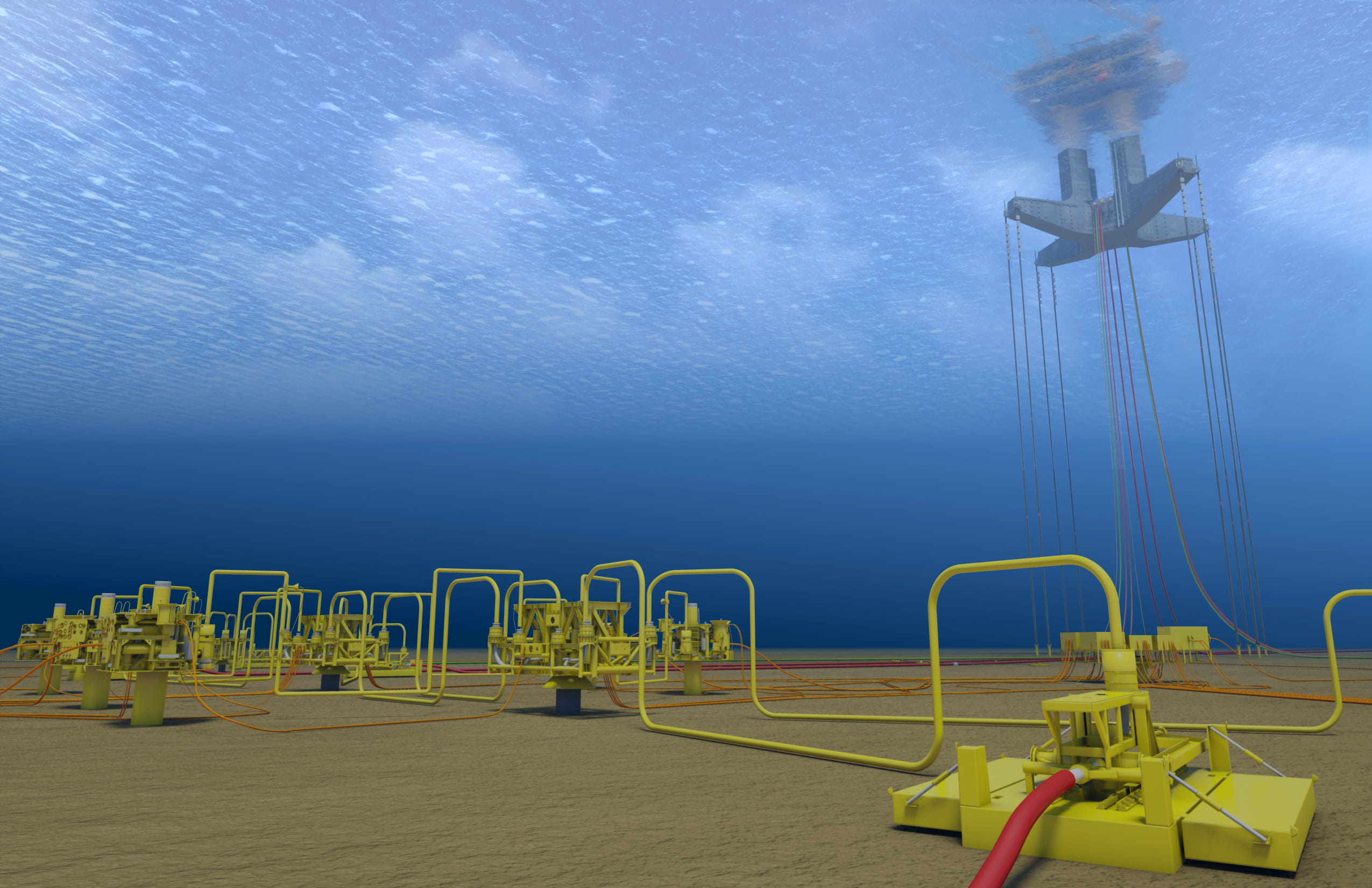 subsea asset management