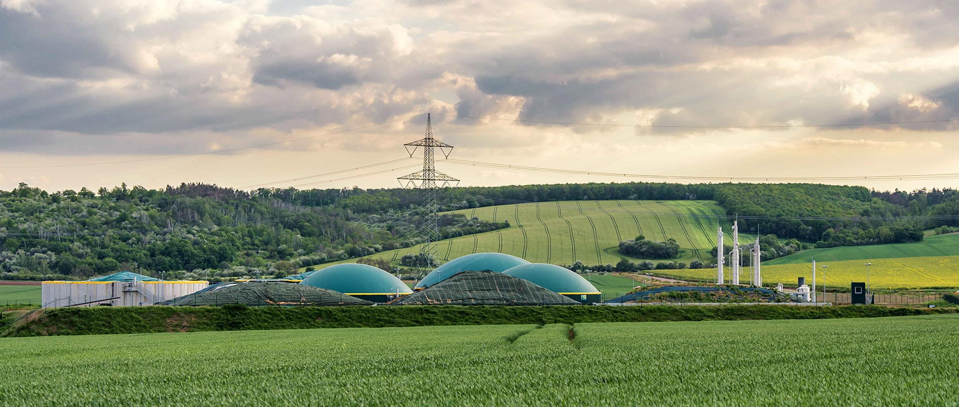 Biofuel plant in green countryside.