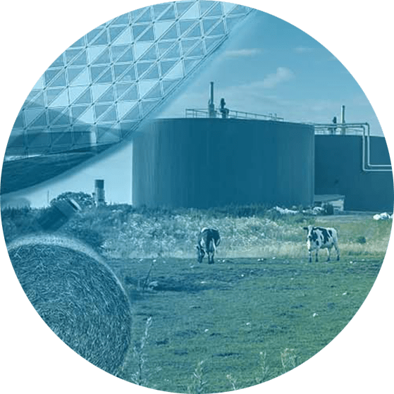 Collage of the Antwerp Port House, cows in paddock at a biofuel plant and a water treatment tank.