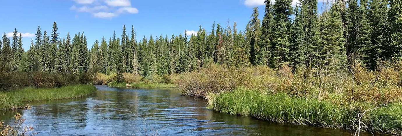 Cold Lake with trees on its banks.